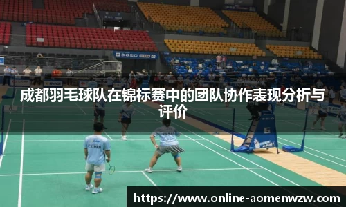 成都羽毛球队在锦标赛中的团队协作表现分析与评价