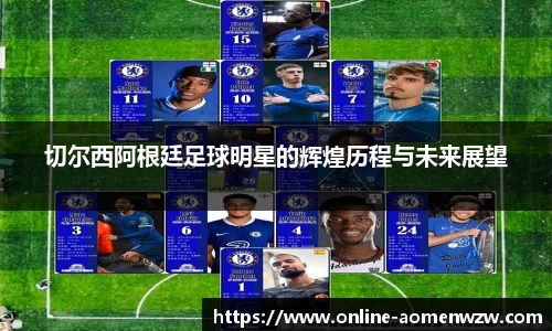 切尔西阿根廷足球明星的辉煌历程与未来展望